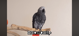 IMG_3064.png