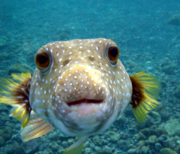 image-34-1024x876.png