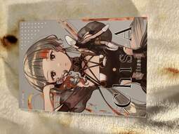 IMG_6077.jpeg