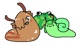 ClipboardImage.png